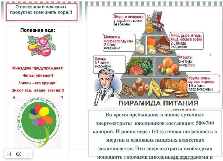 Пирамида питания.