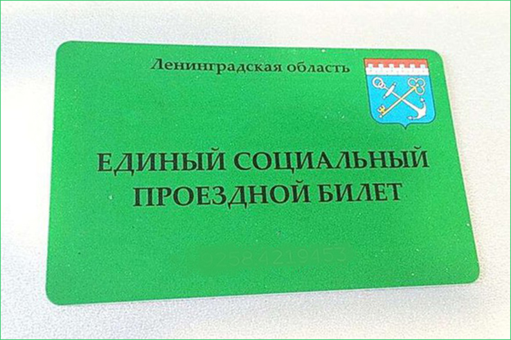 Льготные проездные для учащихся школ г.Гатчины и Гатчинского района.